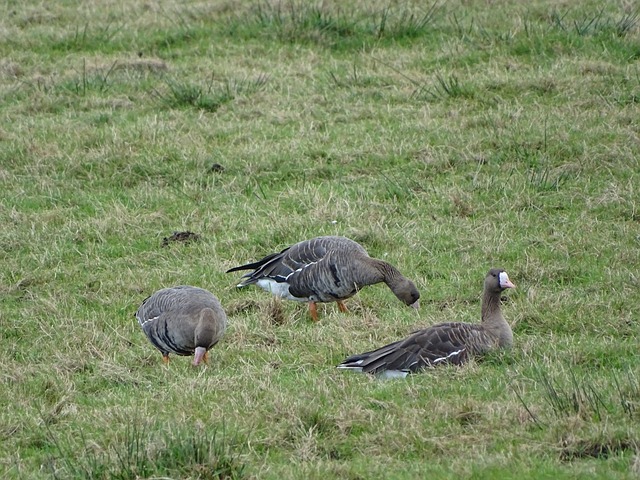 最终选择转 最终选择转