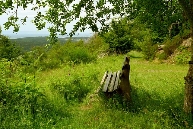 巴西足协面 巴西足协面