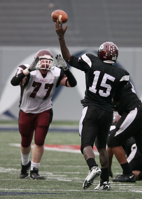 这一领域的 这一领域的