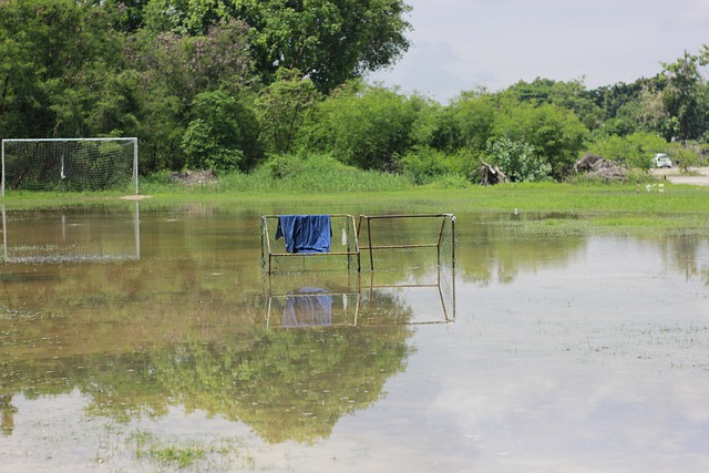 也大大提升 也大大提升